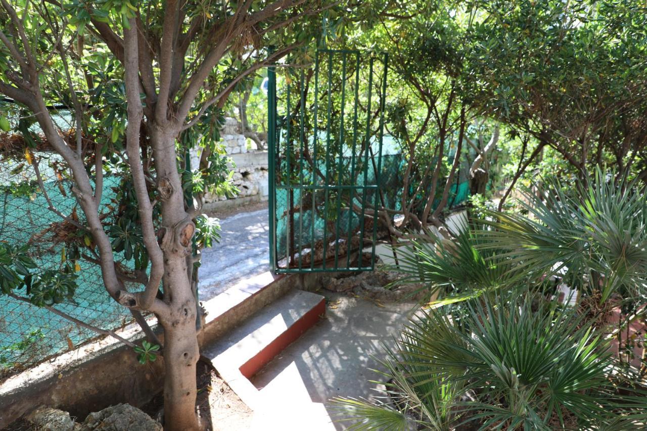 Casa Elvira Villa Terrasini Exterior photo