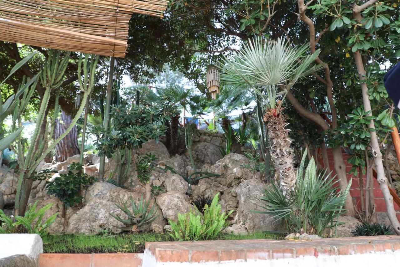 Casa Elvira Villa Terrasini Exterior photo